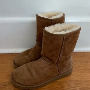 Chestnut Classic Ugg Boots